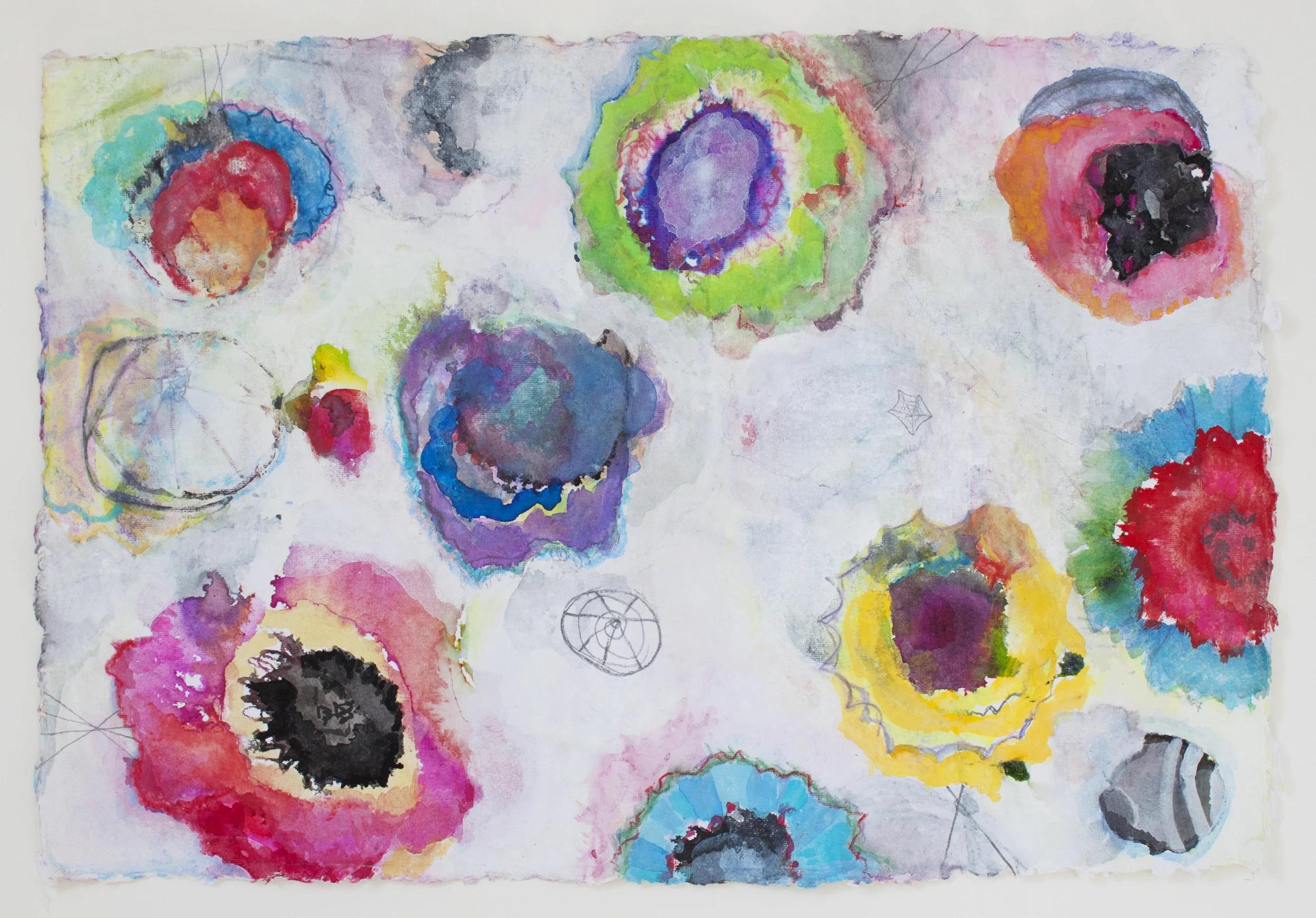 Poppies 4, gouache, ink, graphite on handmade paper, 2013