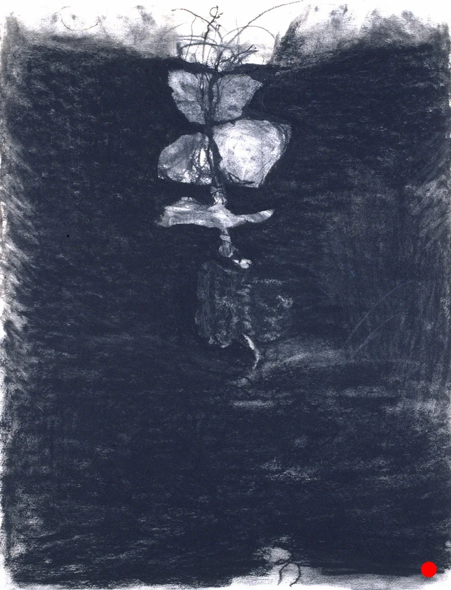 Reveal, 26" x 20", charcoal, graphite on paper, 2005 SOLD