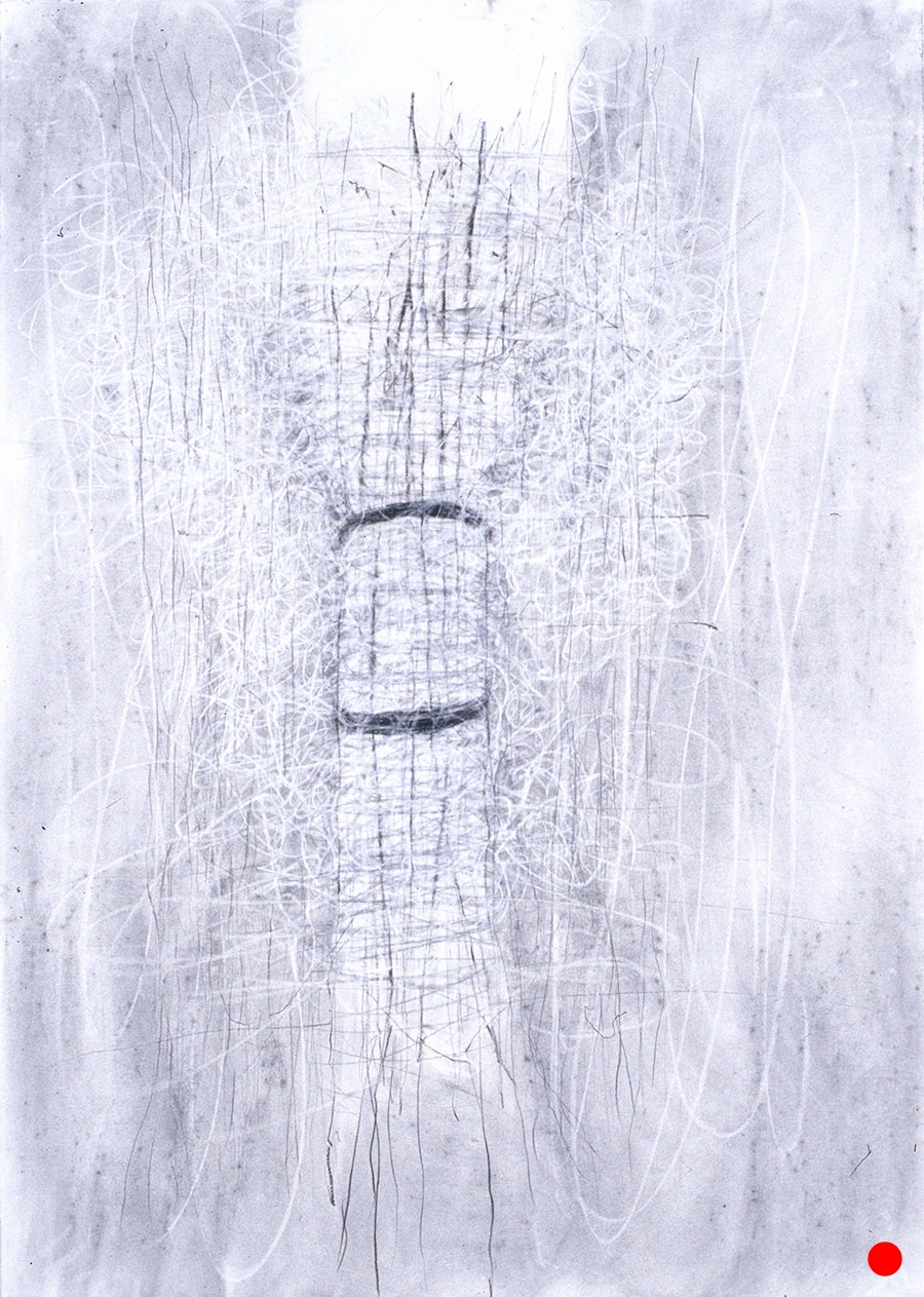 40.5"x 29.5", charcoal, graphite on paper, 2005 SOLD