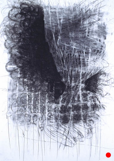 Whirl, 40.5"x 29.5", charcoal, graphite on paper, 2005 SOLD