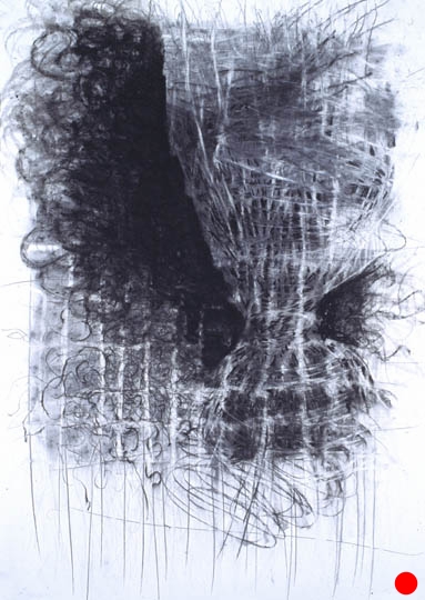 Whirl, 40.5"x 29.5", charcoal, graphite on paper, 2005 SOLD