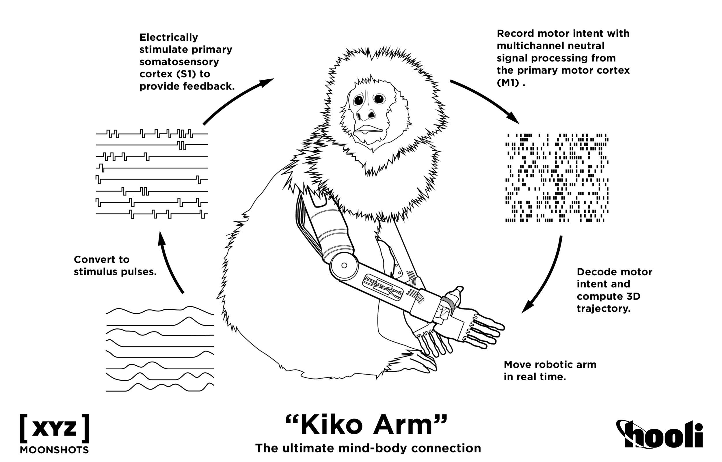 Kikoarm_Moonshot (1).png