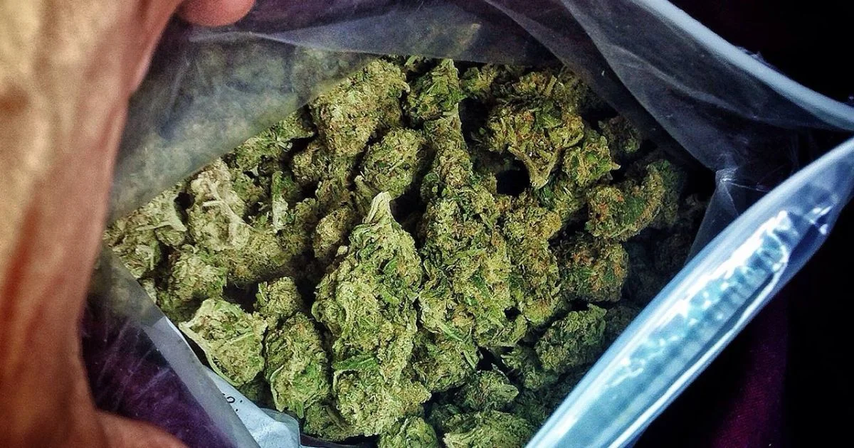 weed-marijuana.jpg
