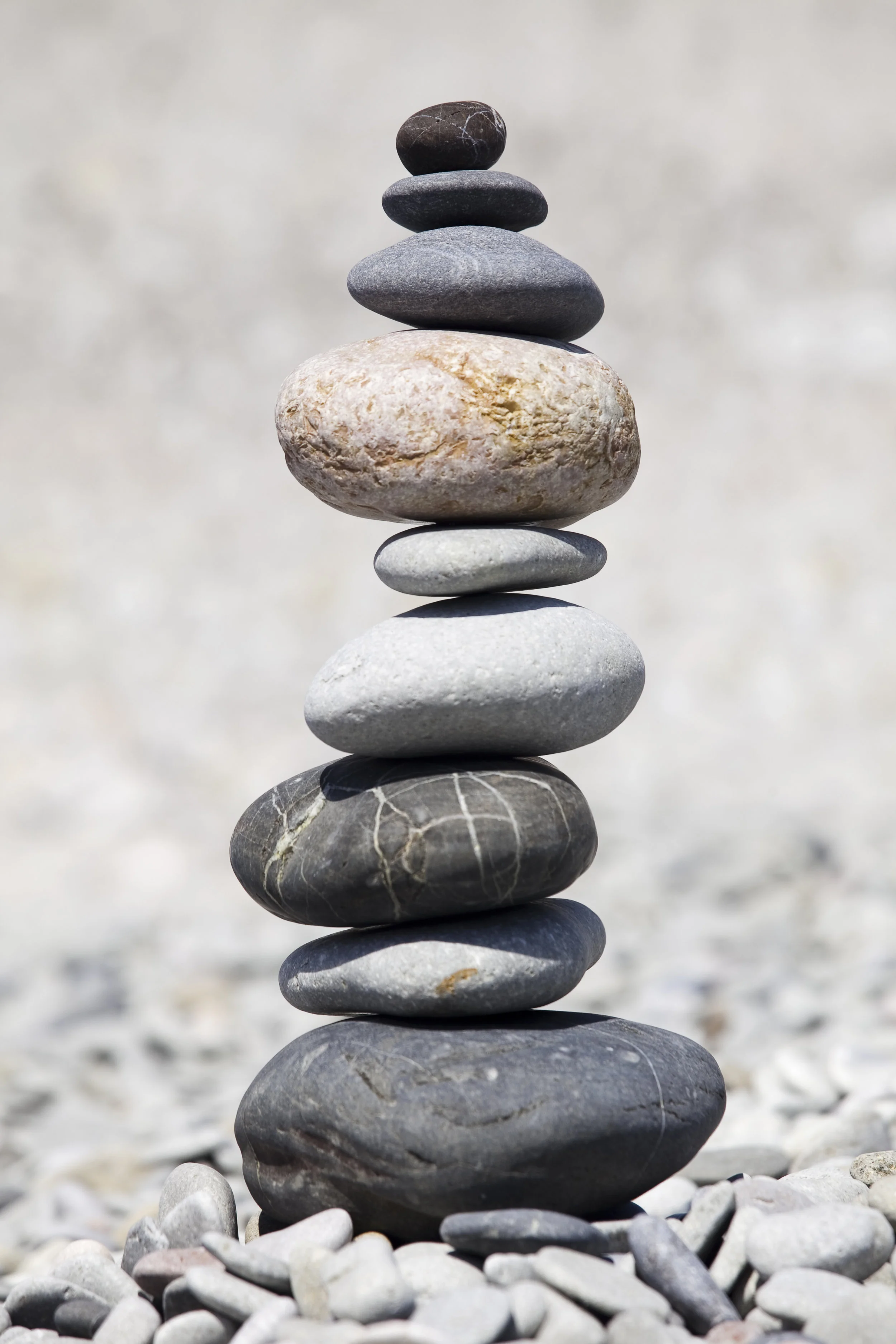 Zen.jpeg