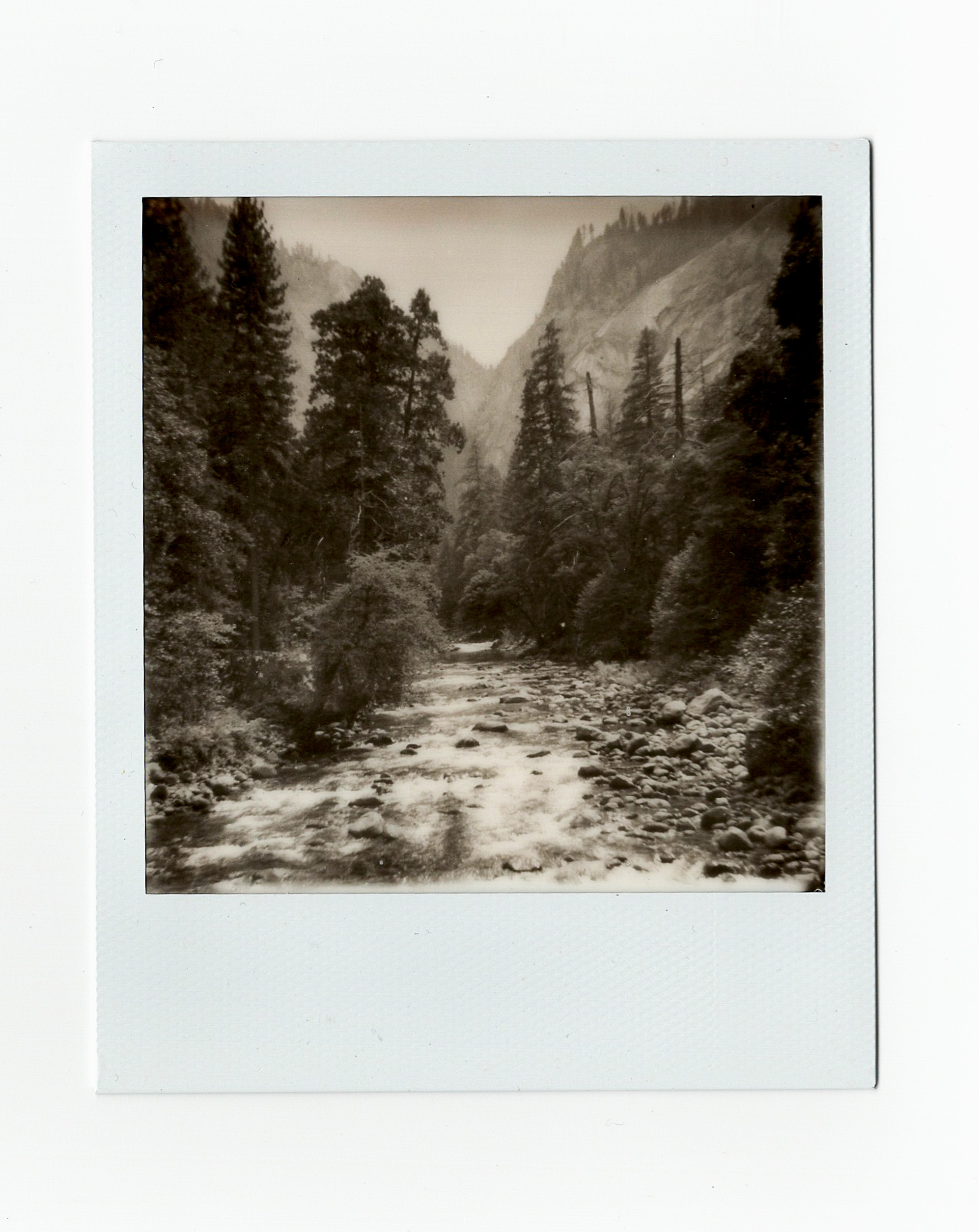 Yosemite17 (6 of 16).jpg