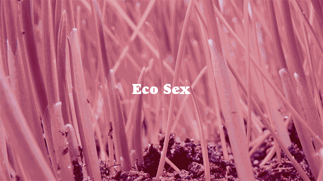 SE_107_EcoSex.gif
