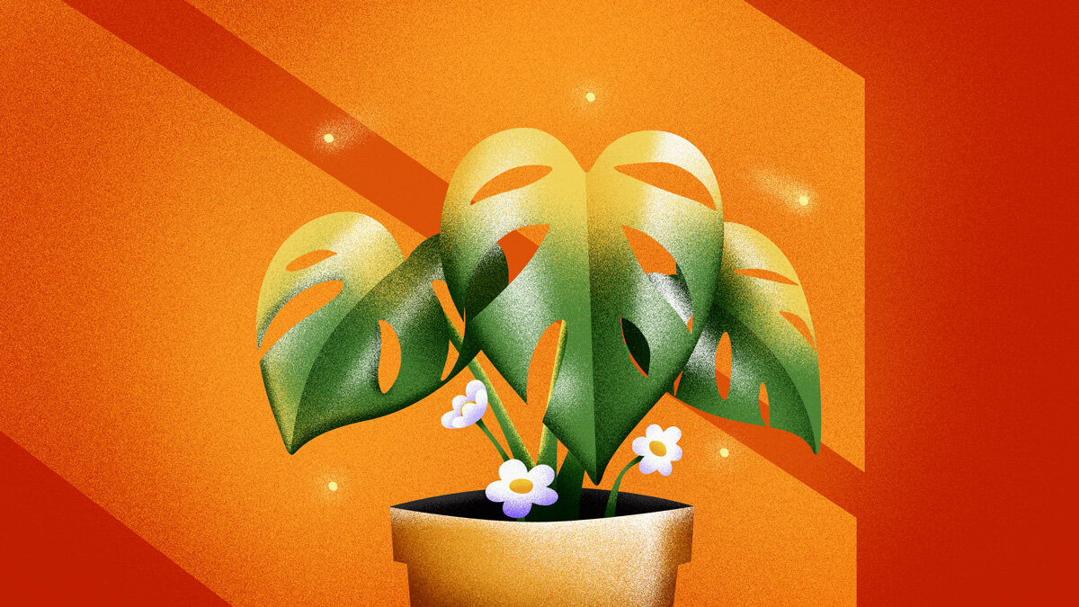 House_Plants_v002.jpg