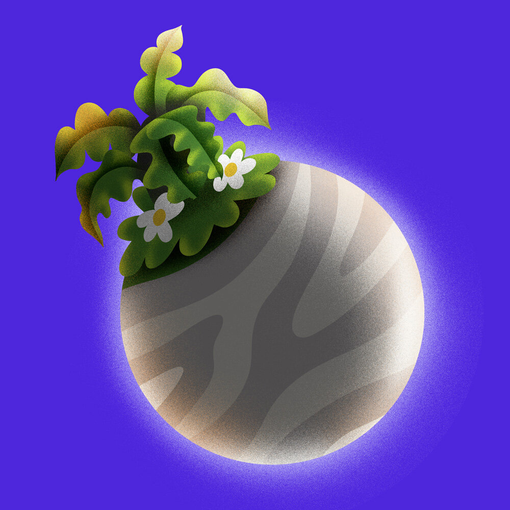 Kokedama_Planet_002_v01.jpg