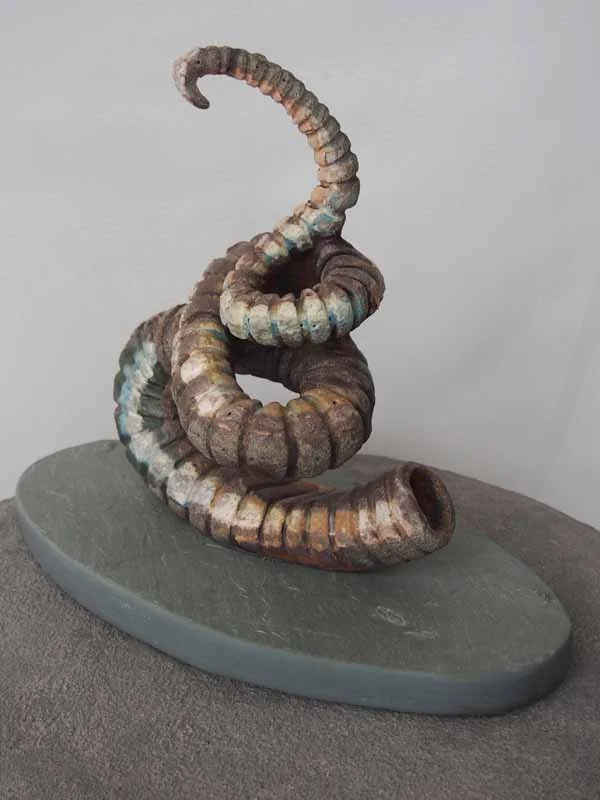 Corkscrew Ammonite 2013 Anagama Fired Ceramic on Slate Base 16L. 9W. 13H Inches © Naomi Teppich