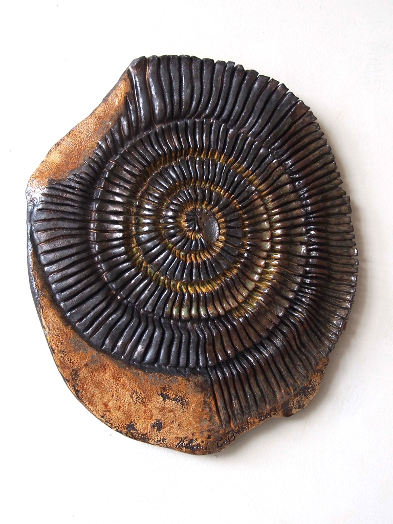 Embedded Ammonite  2013 (sold)