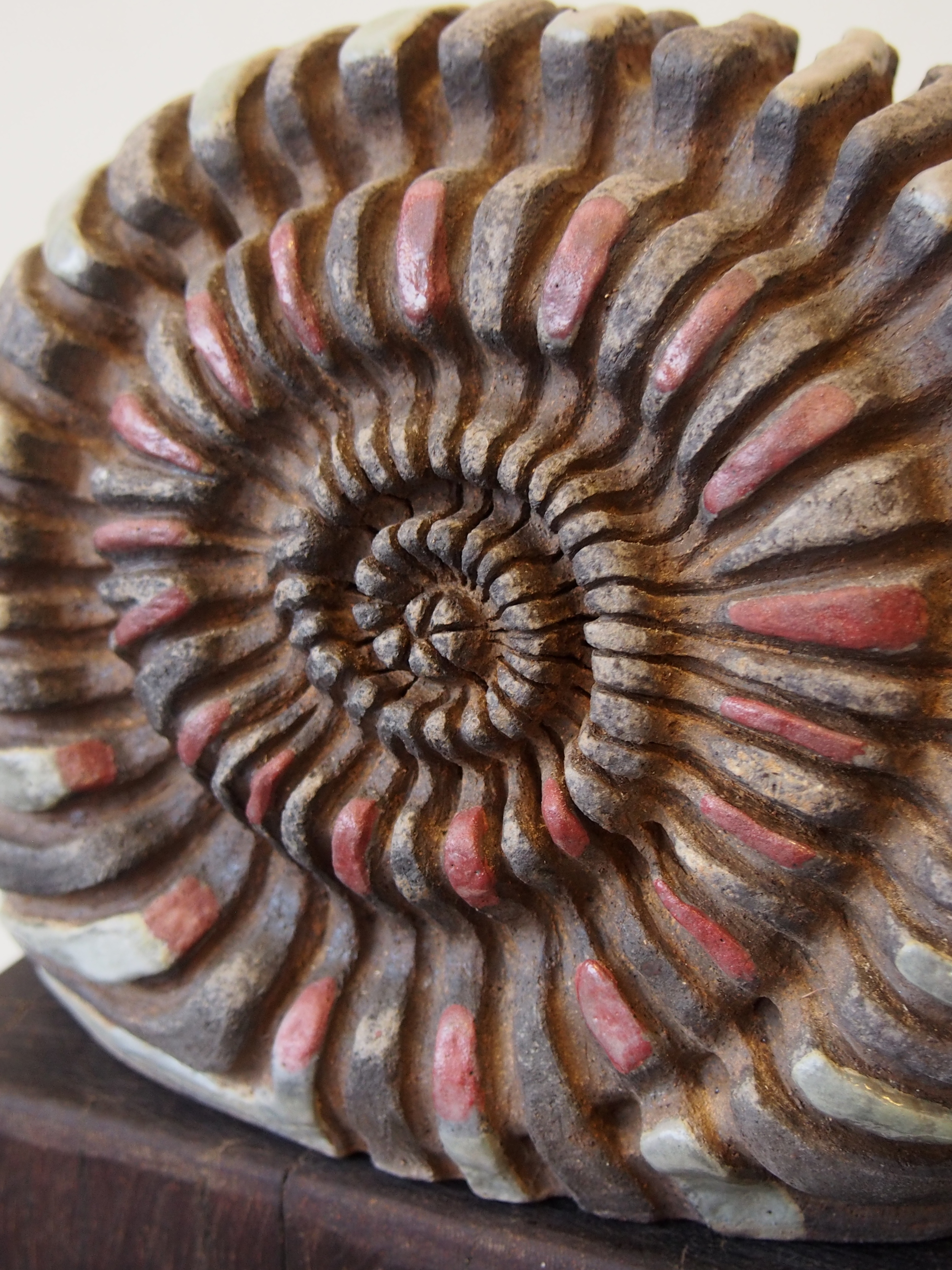 Chunk Ammonite  2014