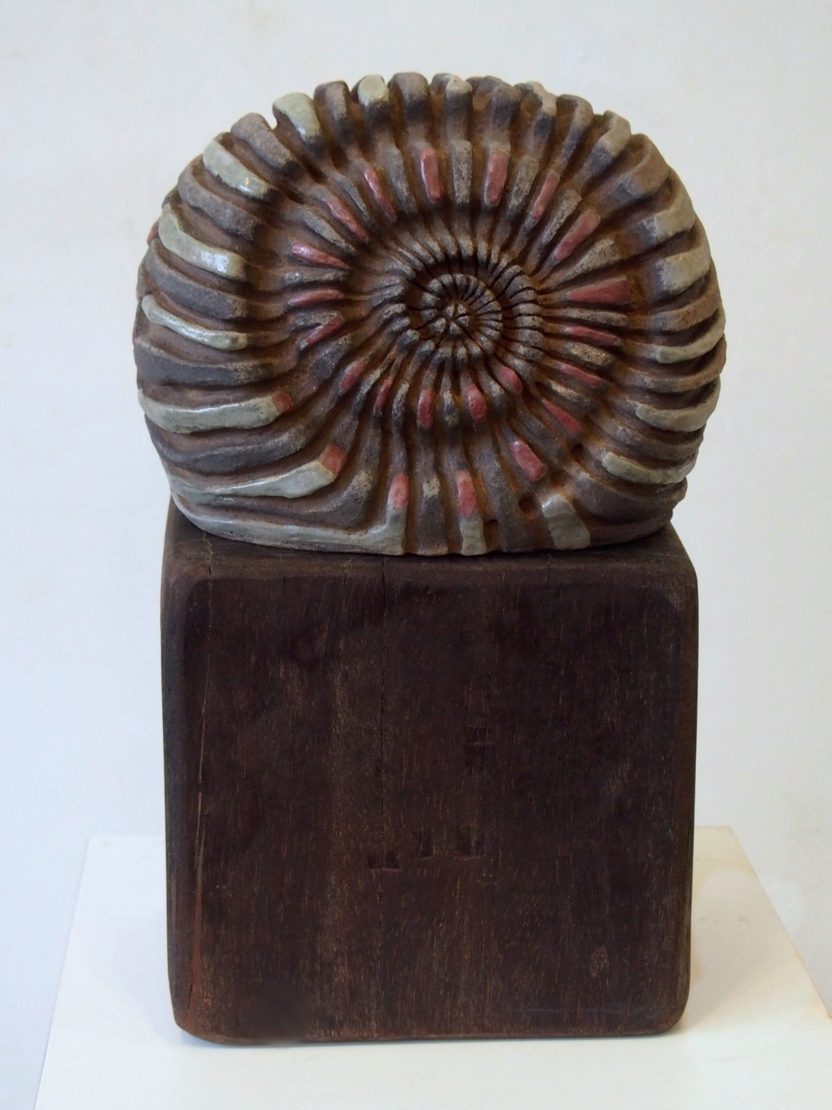 Chunk Ammonite  2014