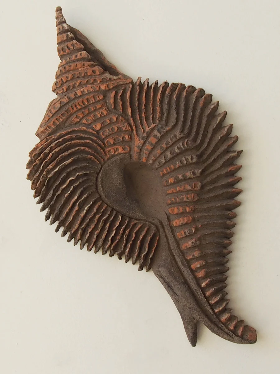 Murex Pinnatus