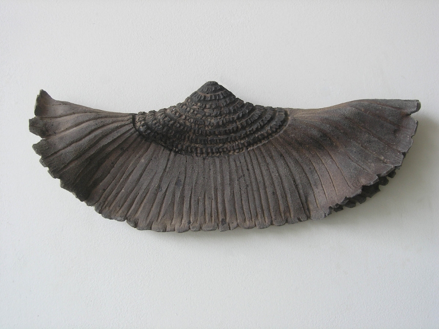 Skirt (mycological)  2011