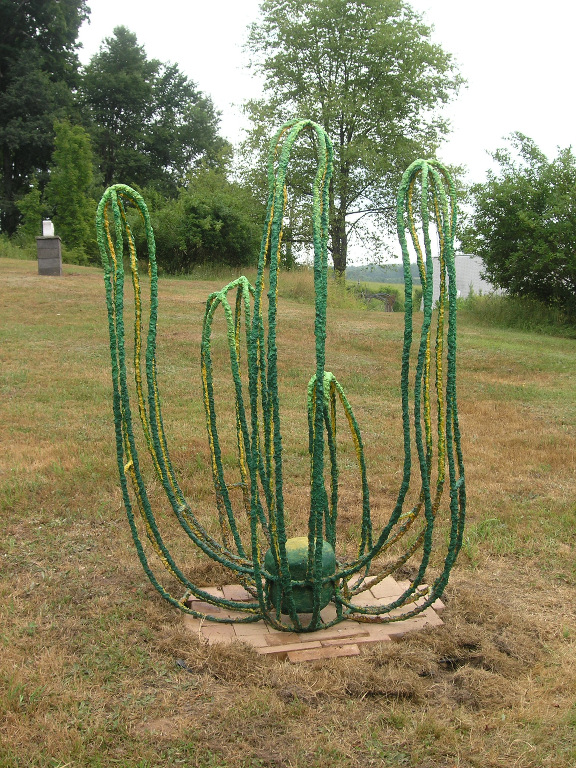 Cactus Conundrum