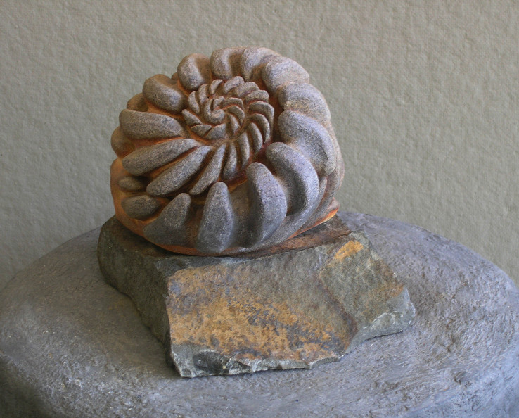 Ammonite Whorl 2009 (sold)