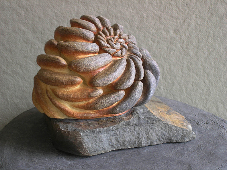 Ammonite Whorl  2009