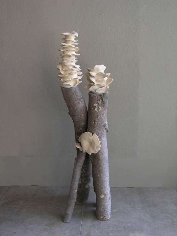 Mycological