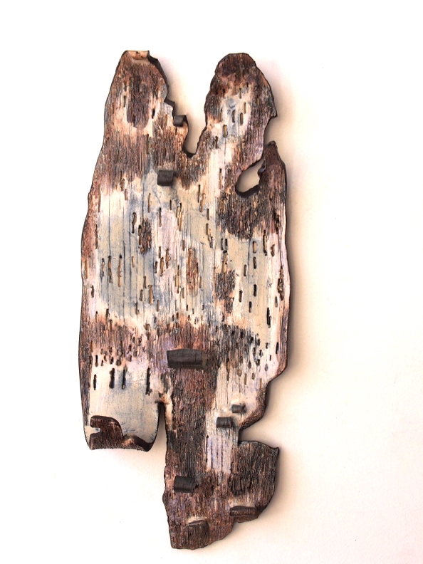 Bark Fragment I  2015