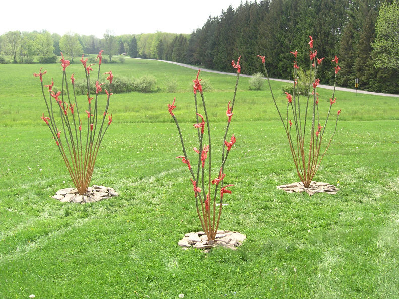 Ocotillo Patch  at the Himalayan Institute, Bethany, PA  2009-2010