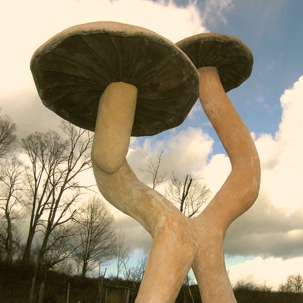 Twin Fungi  2003