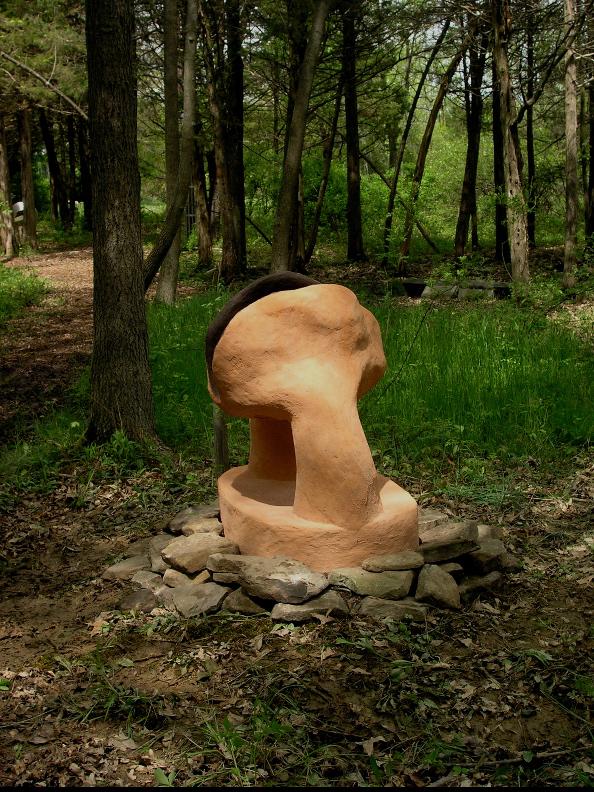 Shrooms