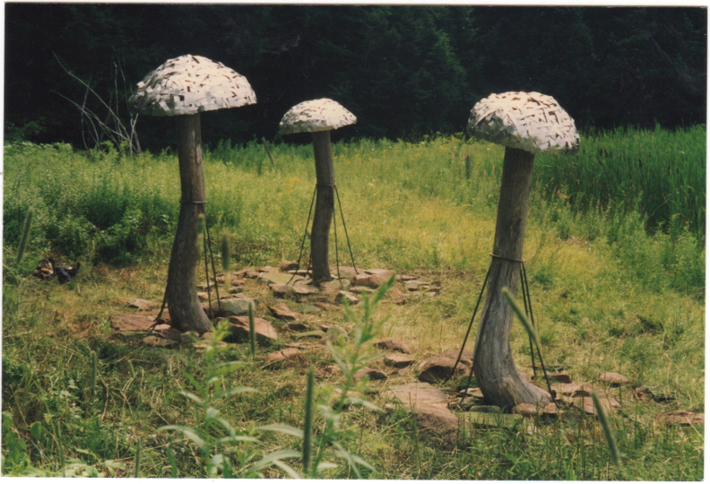 Mushroom Umbrellas  1995