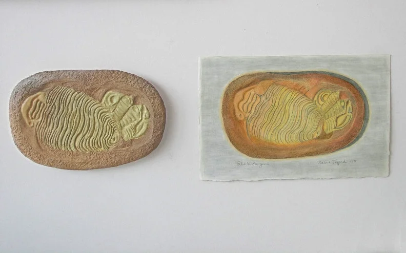 Trilobite Emergence
