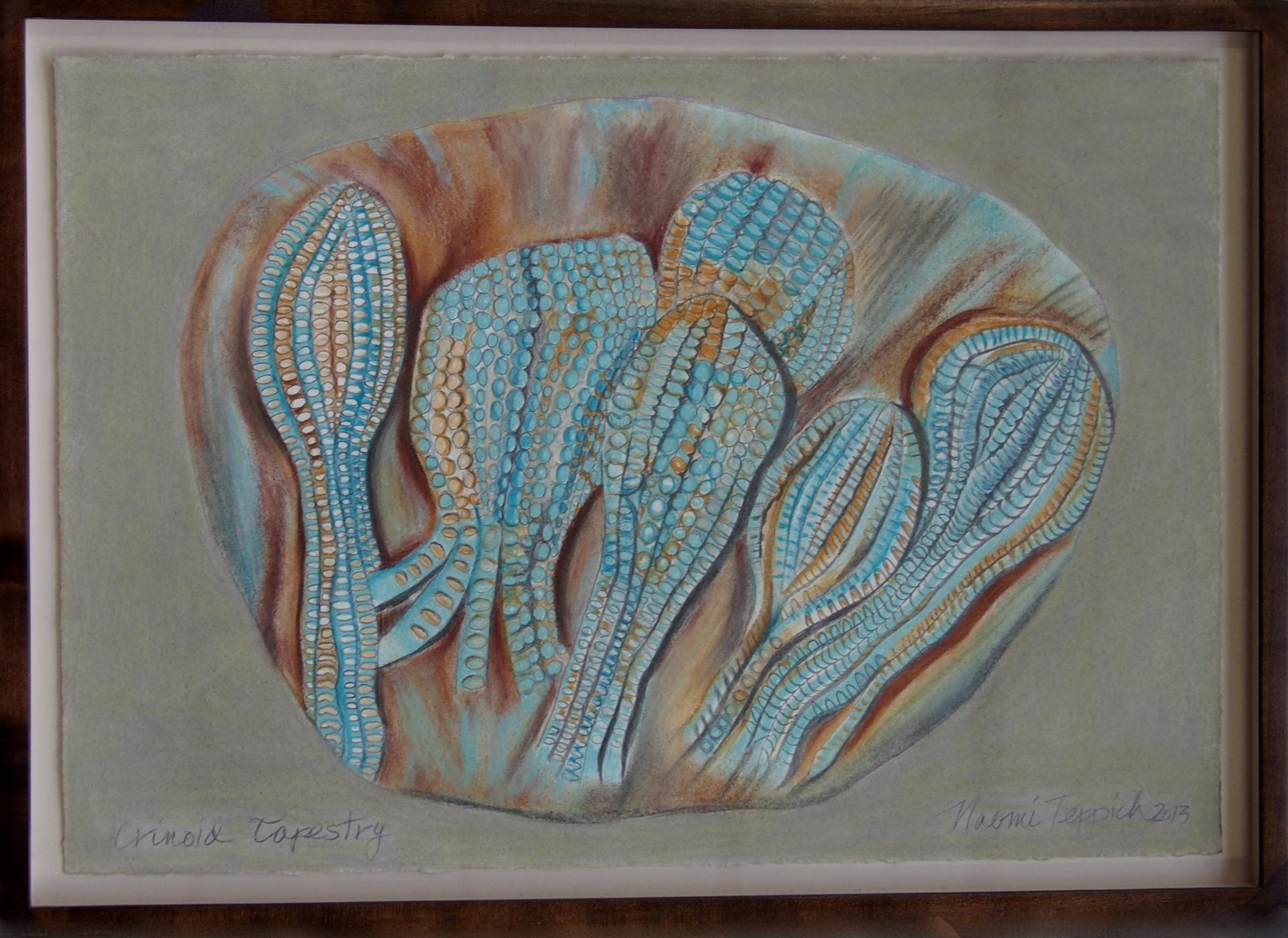 Crinoid Tapestry  2013