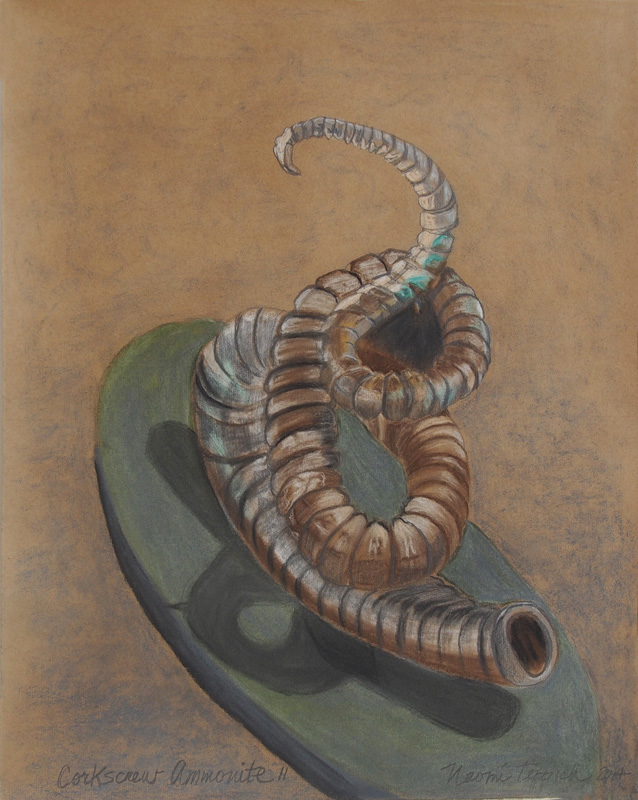 Corkscrew Ammonite II