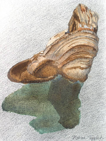Fungi back view