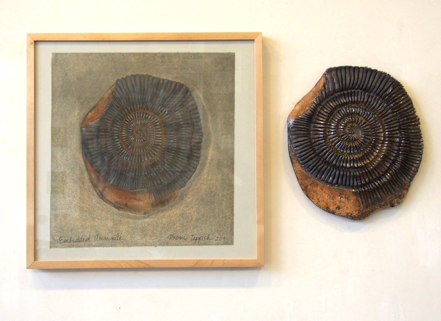 Embedded Ammonite  2014