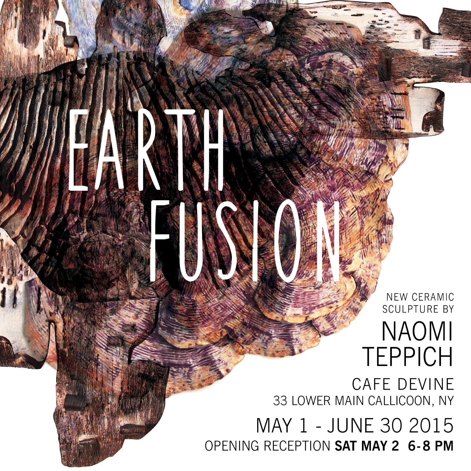 Earth Fusion solo exhibition at the Cafe Devine, Callicoon, NY