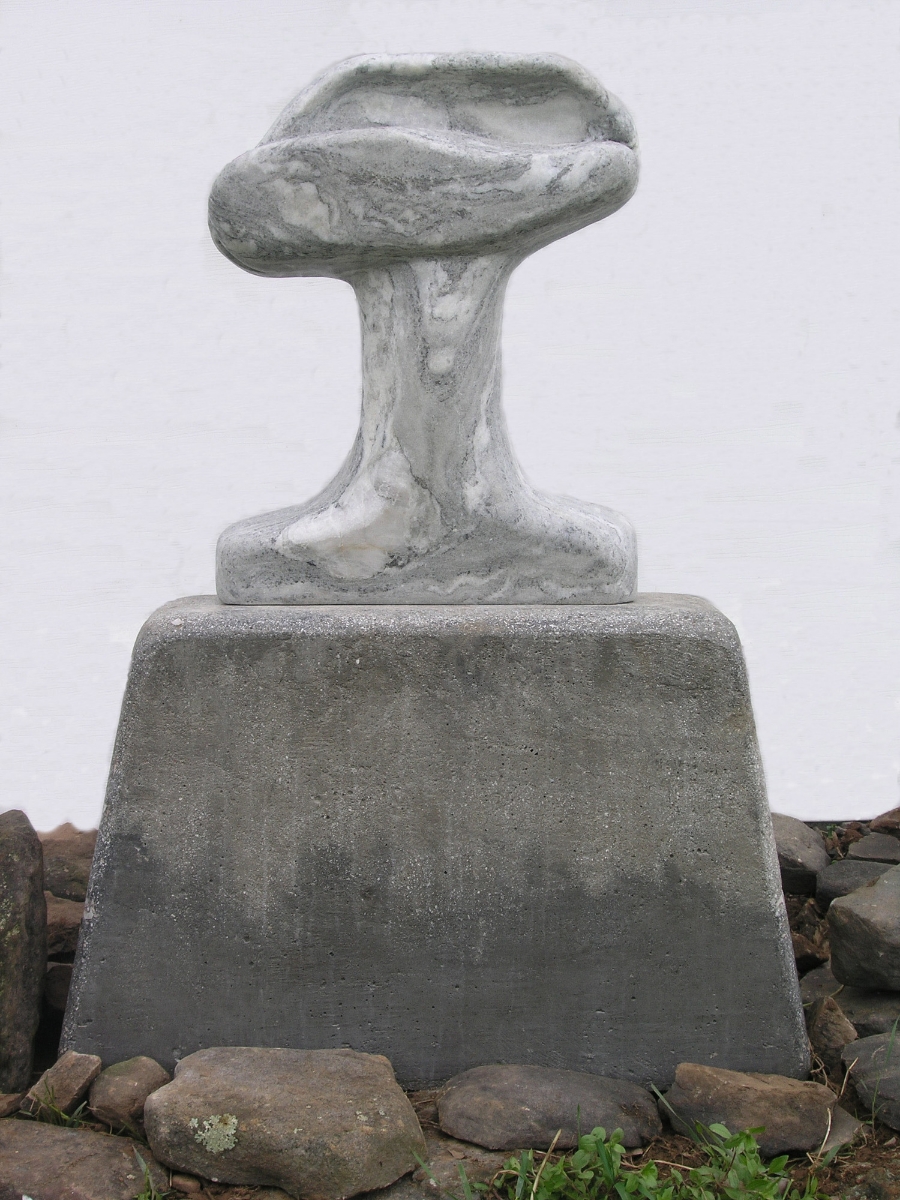 Fungi Figure