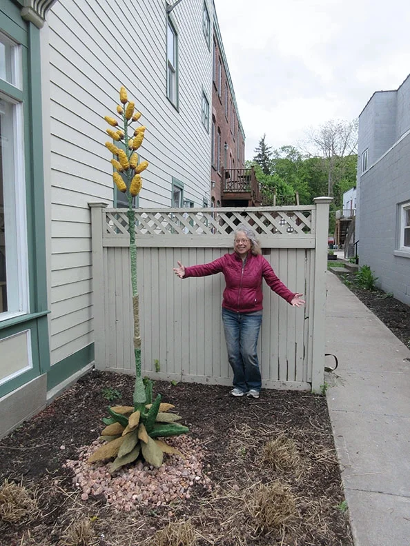 Desert Agave for Beacon 3D 2016