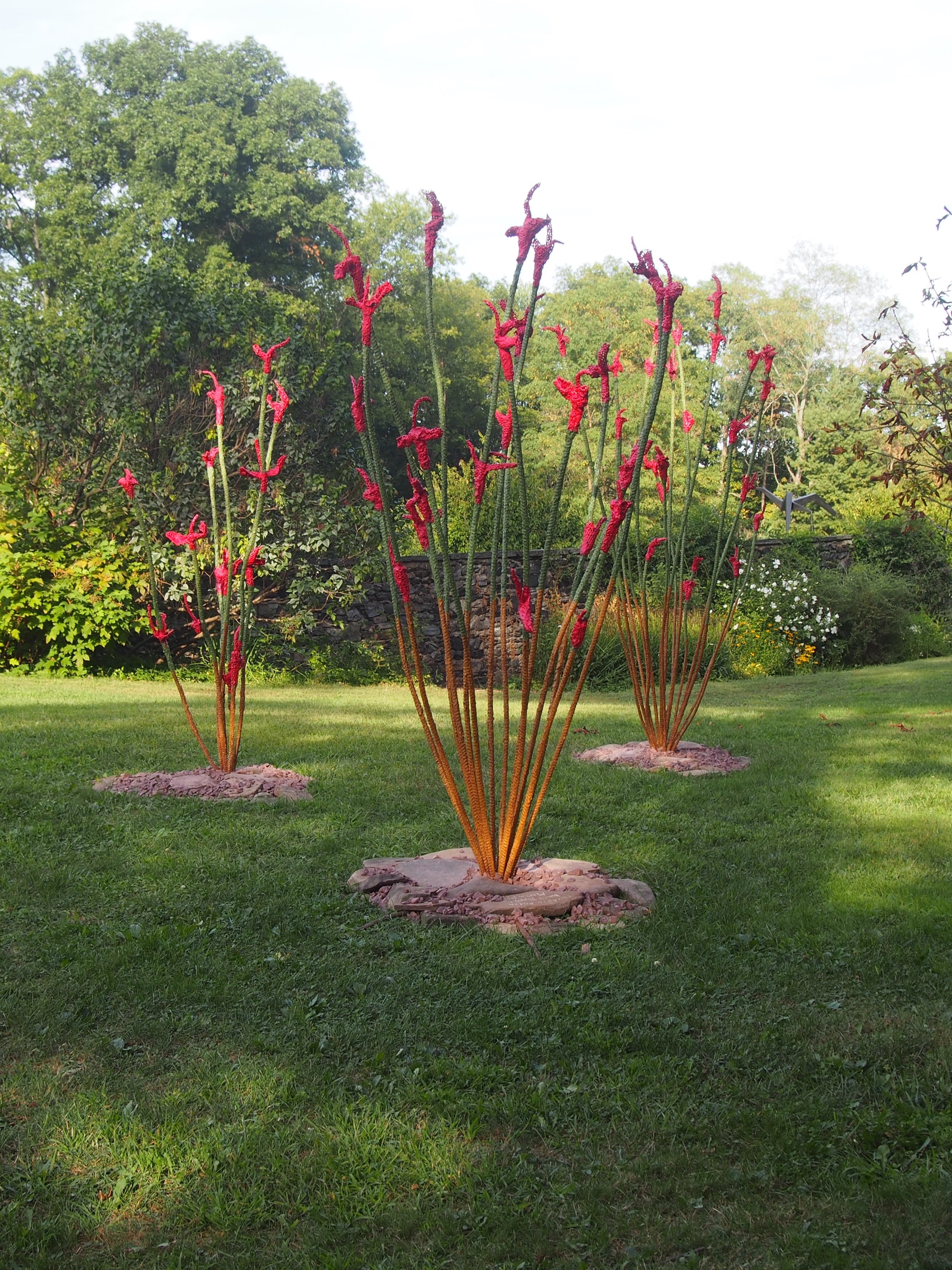 Ocotillo Patch, Bartow-Pell Gardens, Bronx, NY