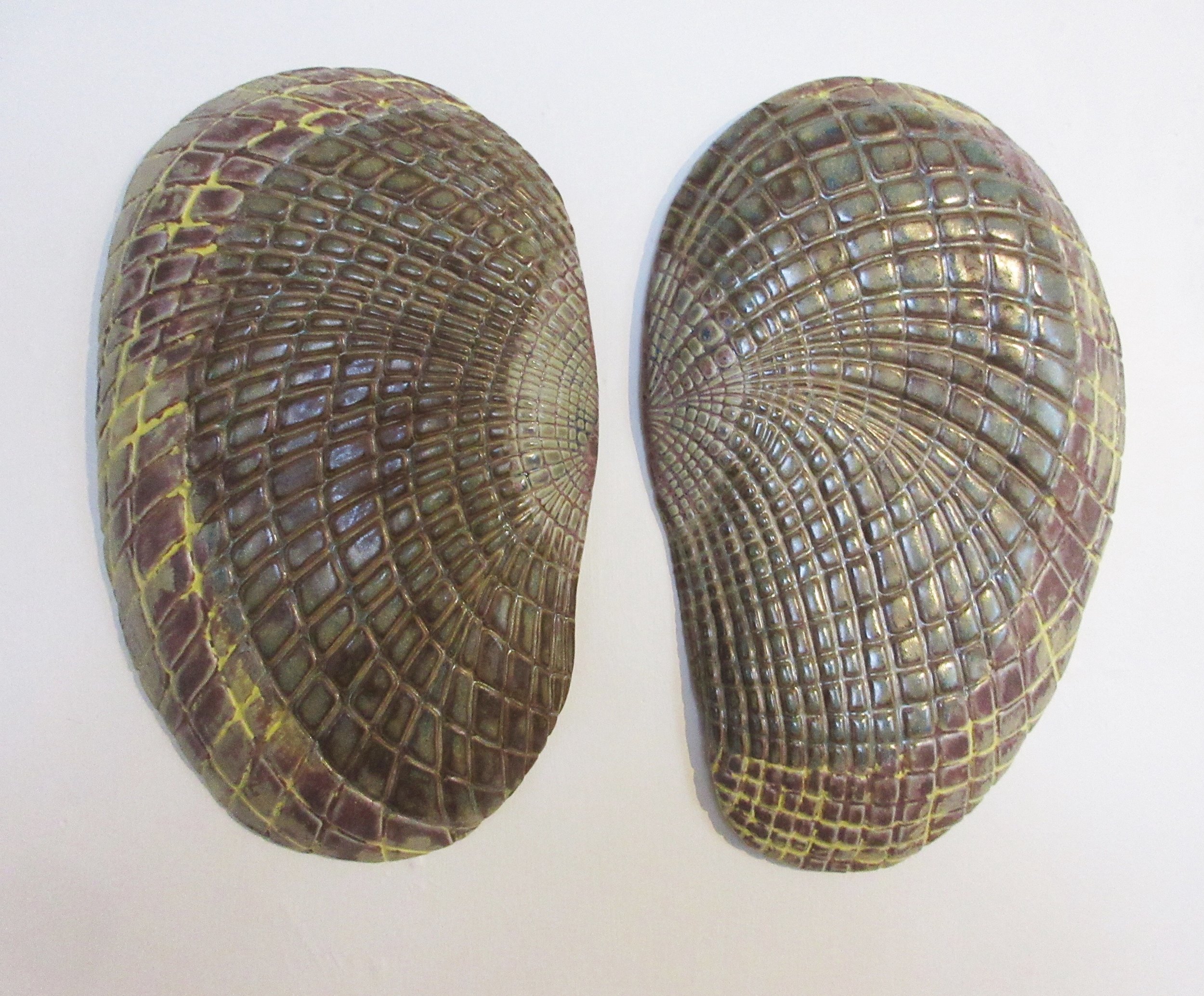Mussel shell Halves 2018