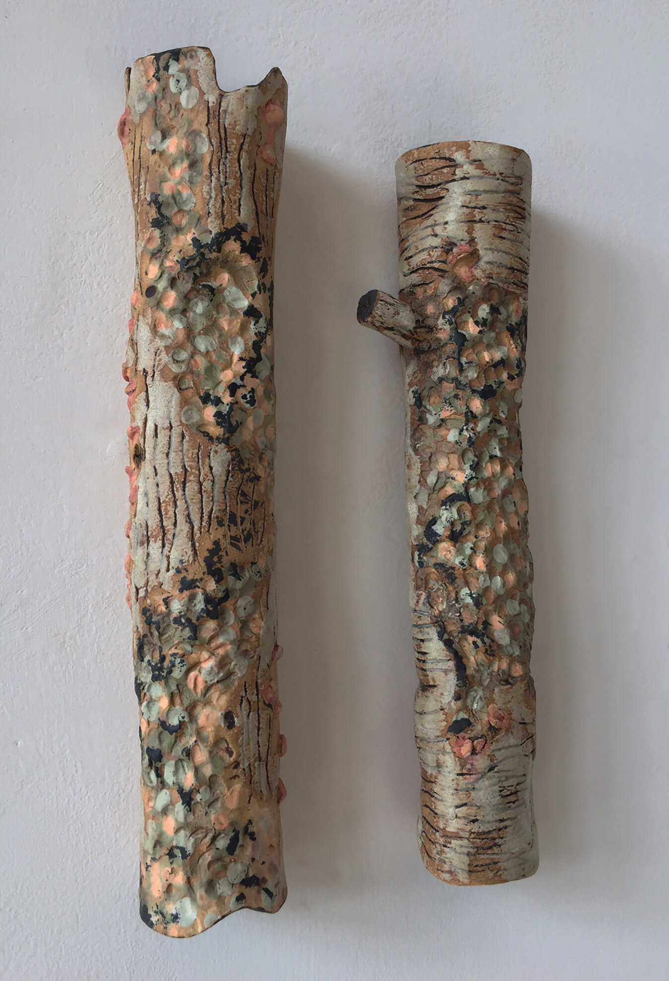 Bark Poles  2021 at "Tess", Narrowsburg, NY