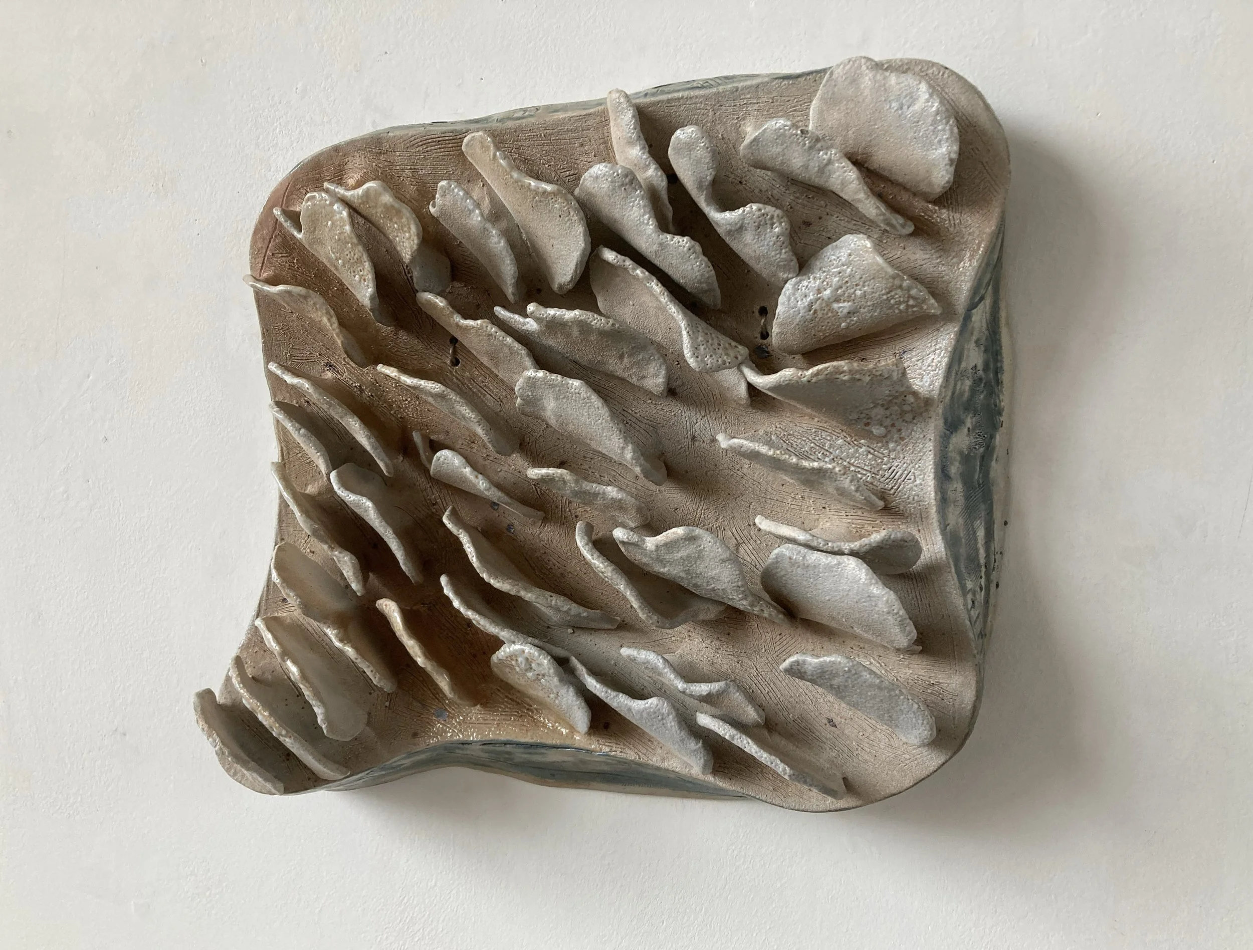 Sea Shrooms 2025