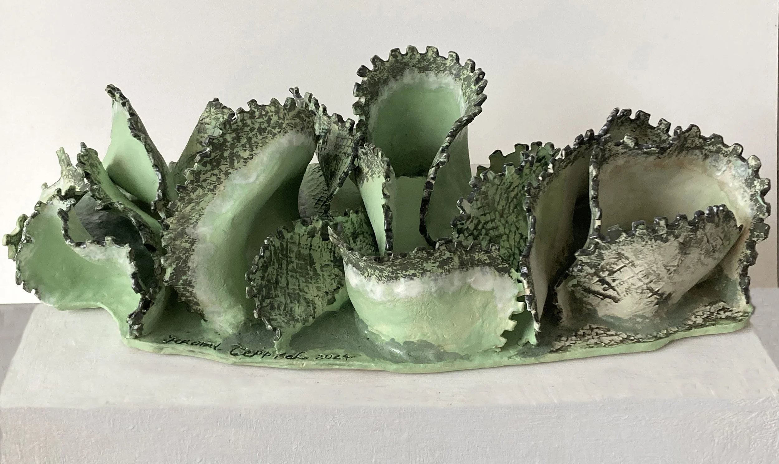 Sea Lettuce 2025