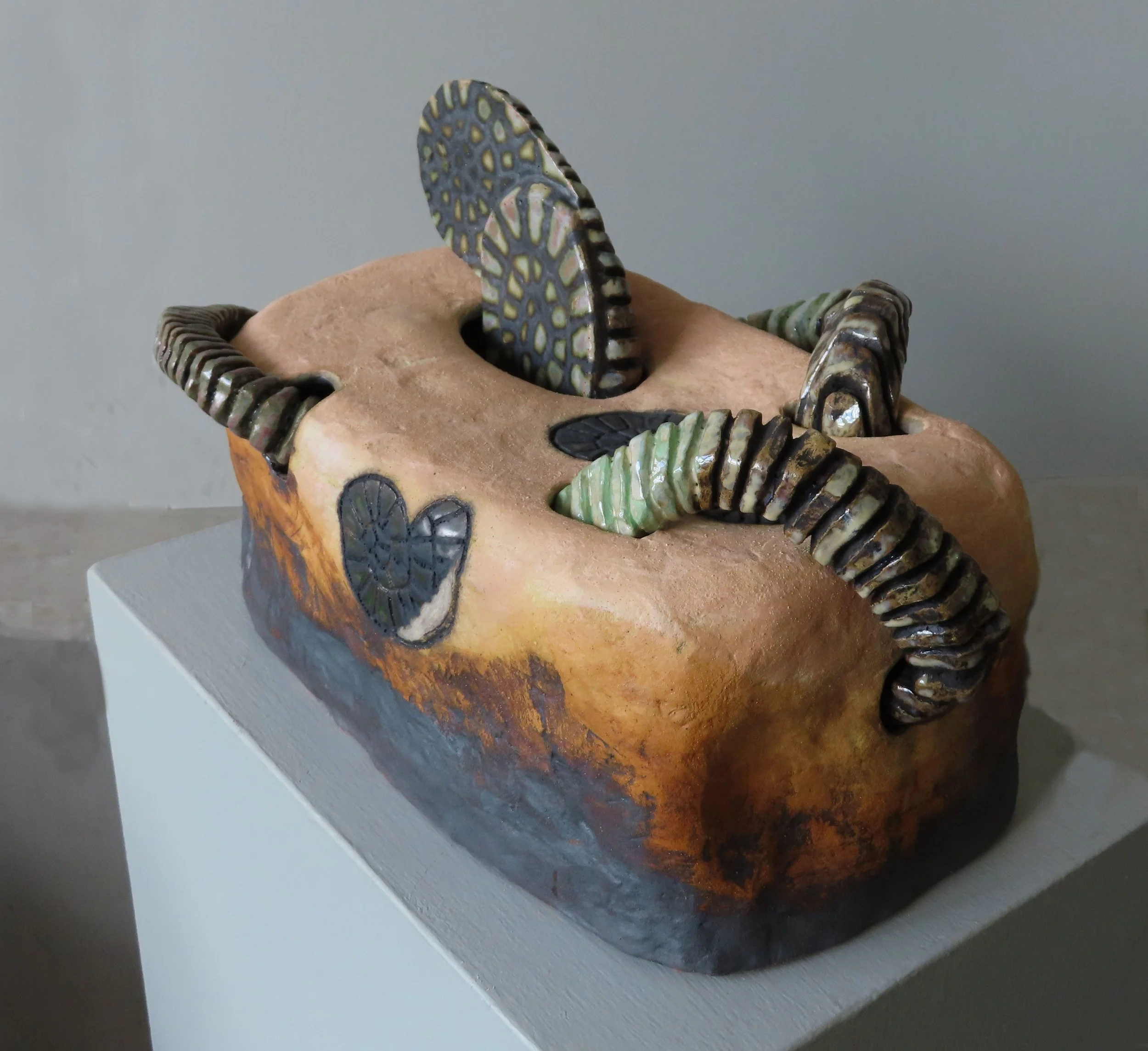 Multiple Fossils 3.jpg