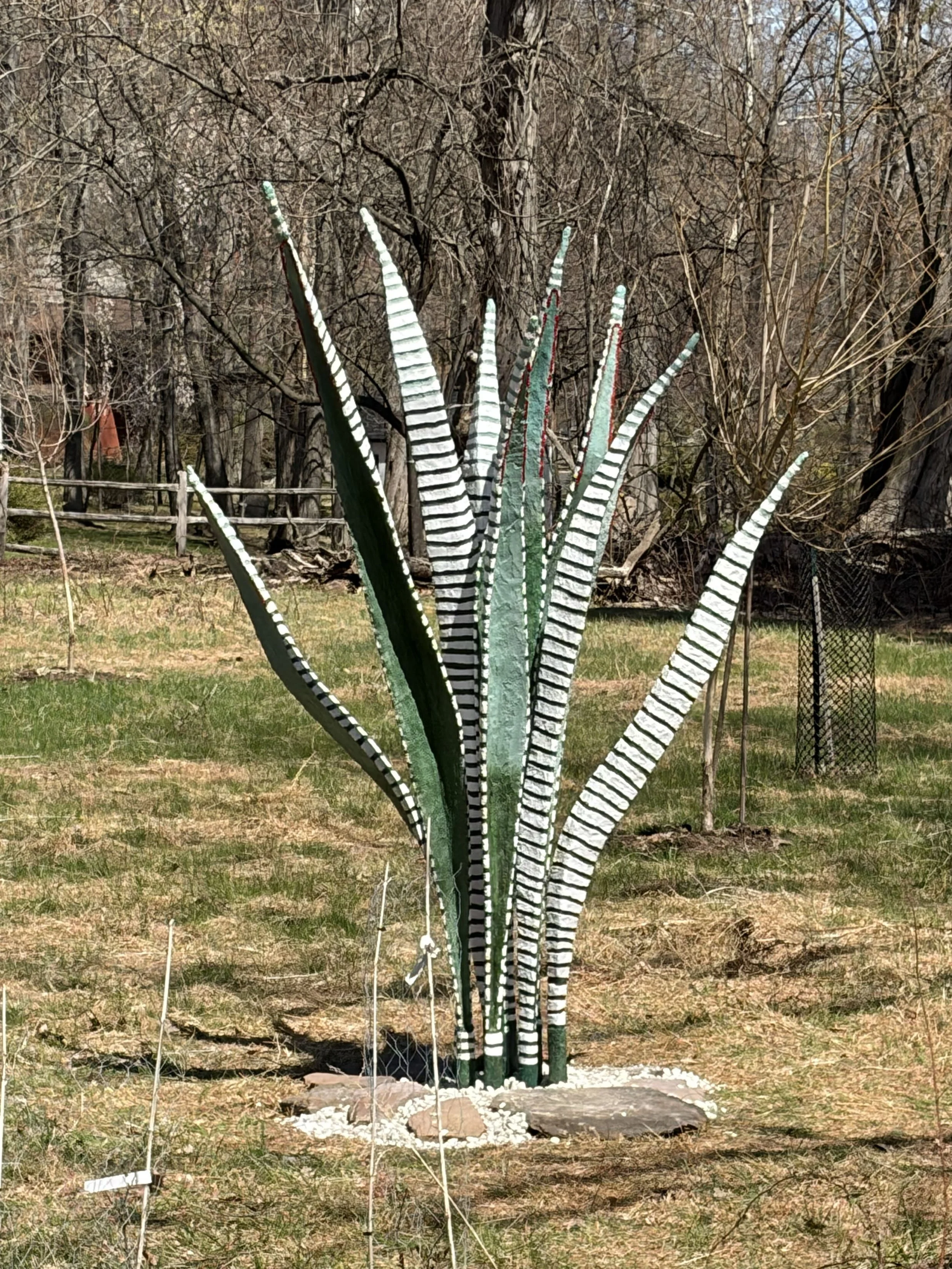 Zebra 1.jpg