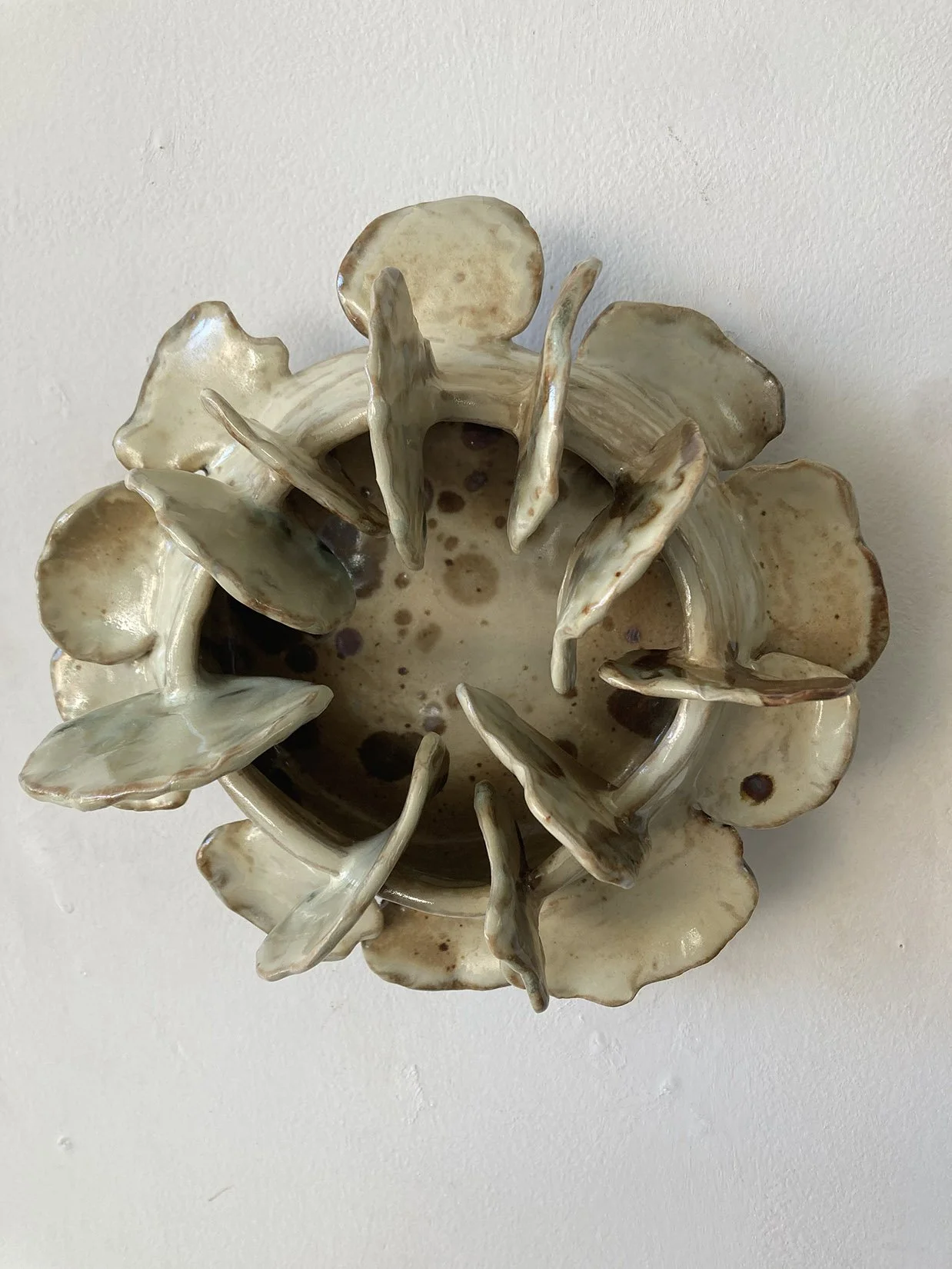 Tamborine Shroom copy.jpeg