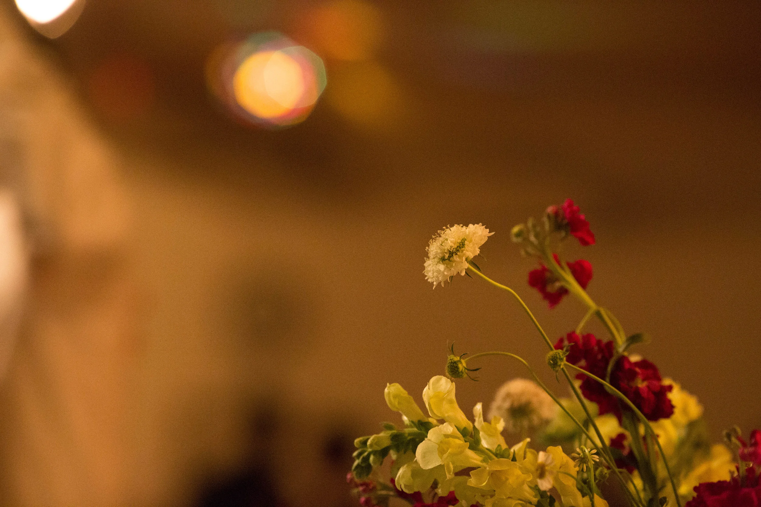 LATA-Midsummer-milonga-3949.jpg