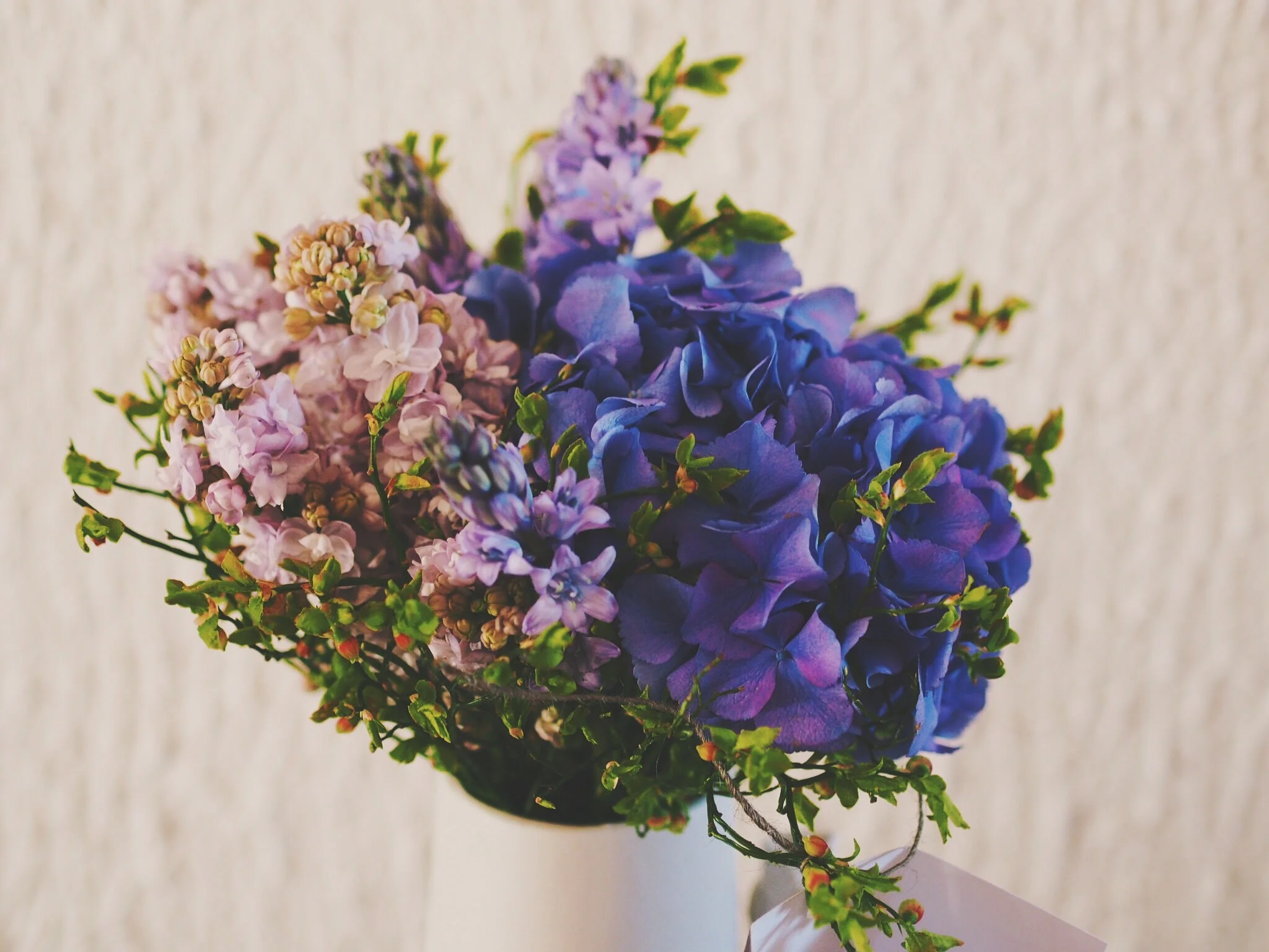 caroline-ingebrigtsen-88776-unsplash copy.jpg