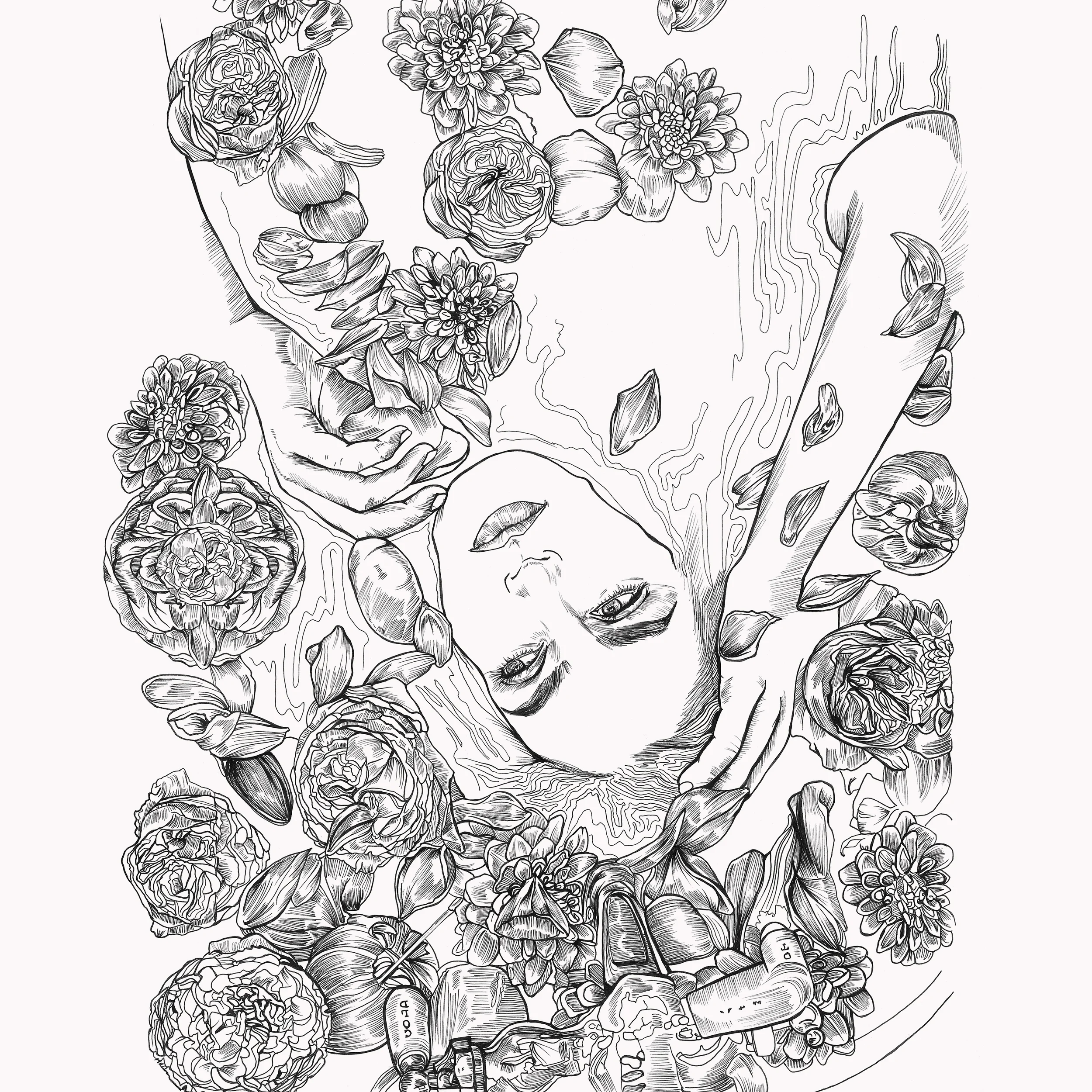 Sharpe + Associates