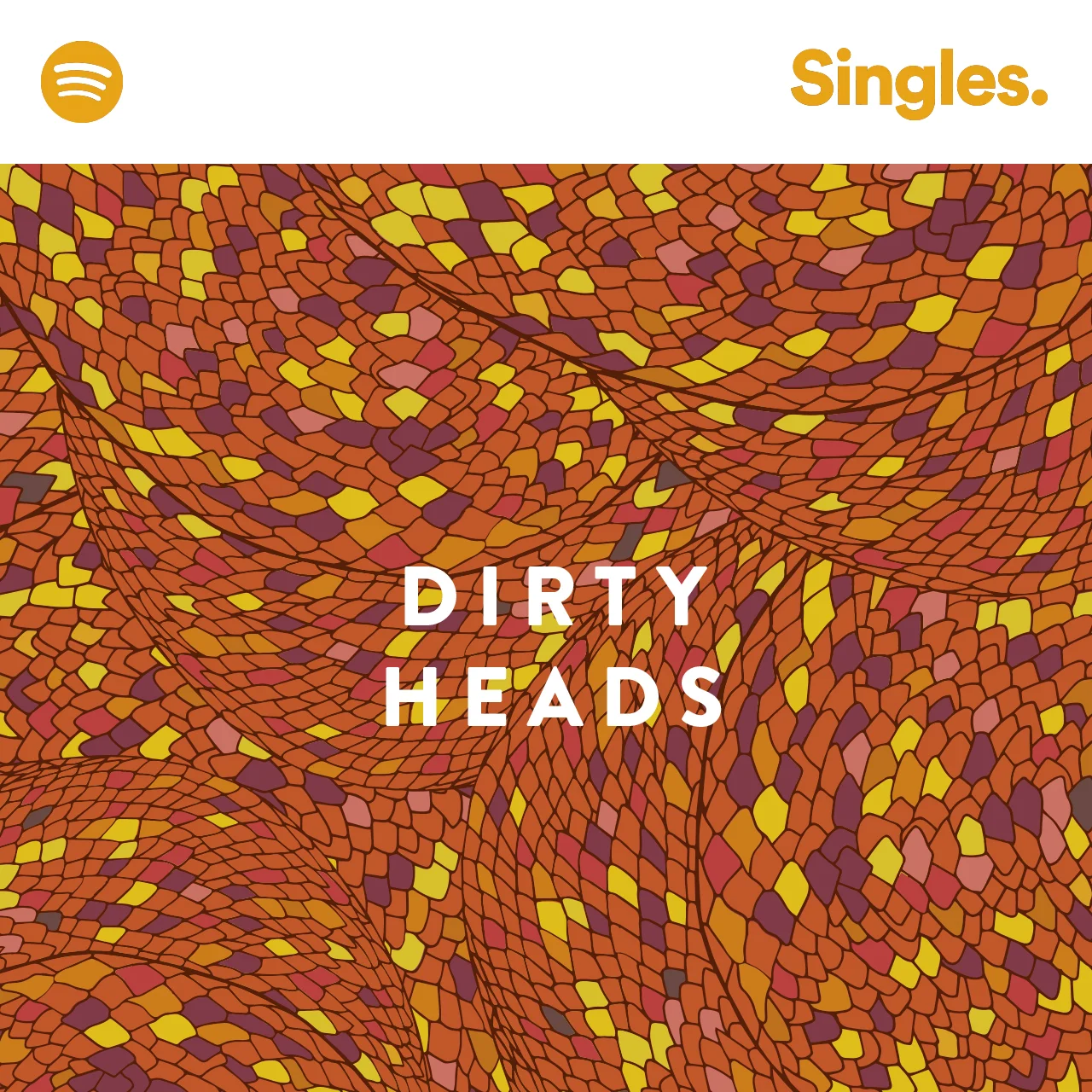 Dirty Heads