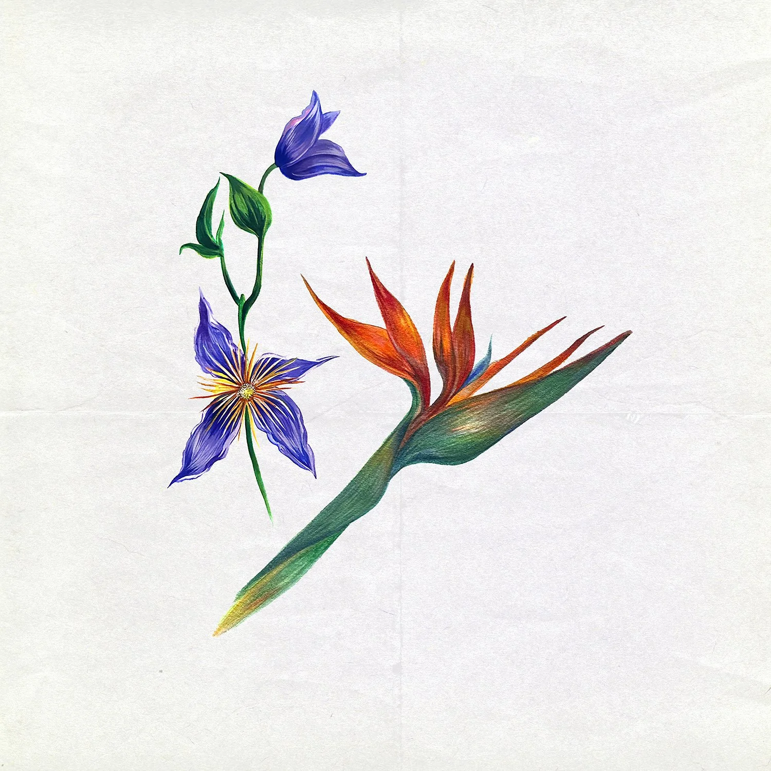 Flowers_Details2.jpg