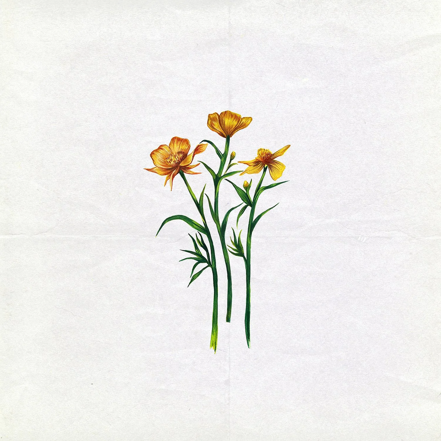 Flowers_Details5.jpg