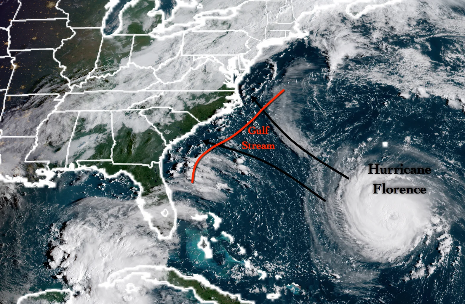Florence&GulfStreamImage.jpg